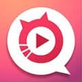 夜猫TVapp