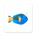 灵动半岛app