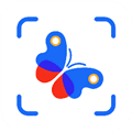 昆虫识别图鉴扫一扫app