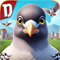 pigeonpop鸽子游戏