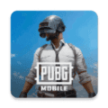 pubg手游正版