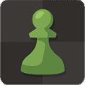 国际象棋大师手机版