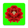 绿植花卉app