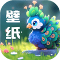 孔雀壁纸app最新版