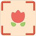 拍照识图君app