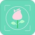 拍照识花app