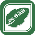 外语通教师版