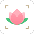 识花app