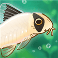 池趣养鱼游戏