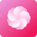 芙蓉