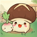 治愈幸福生活红包版