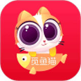 觅鱼猫