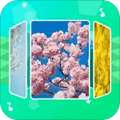 音乐相册助手app