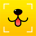 芯爱app